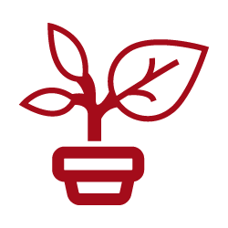 Ícone Missão Dataprom